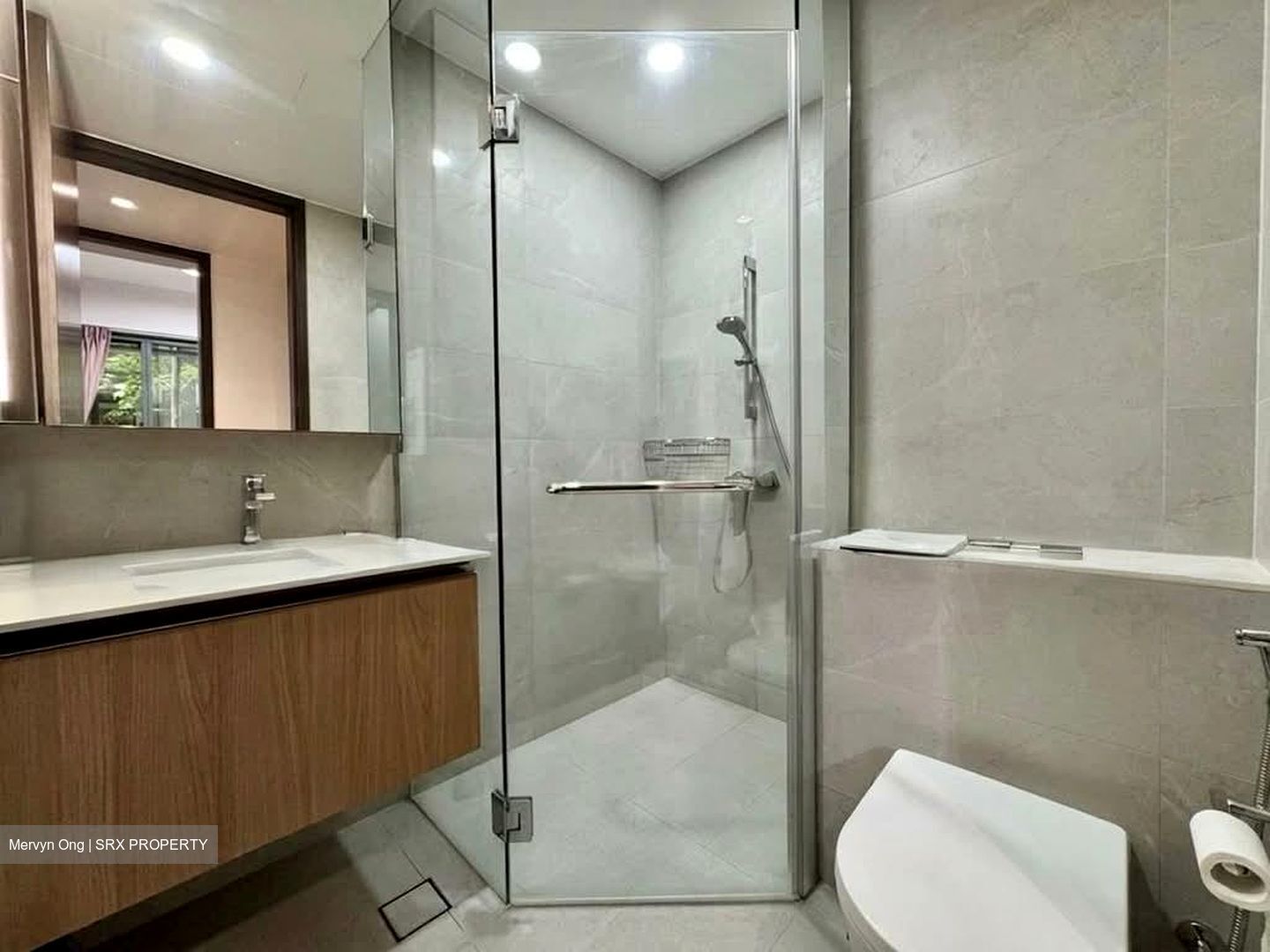 JadeScape (D20), Condominium #558884991